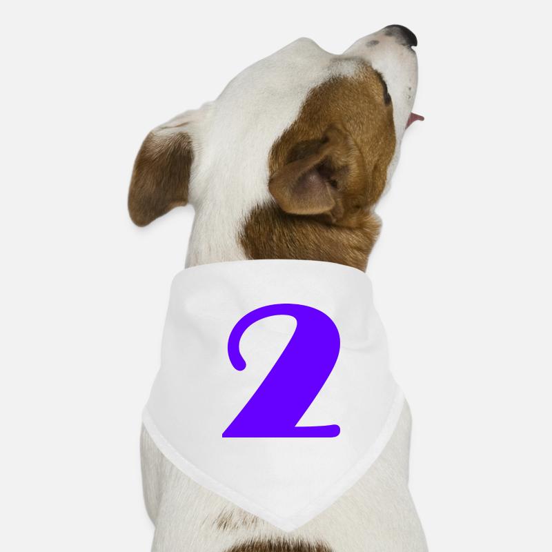 2. 2 JAHRE. 2. JUBILÄUM. GEBURTSTAG 2 JAHRE Hunde-Bandana