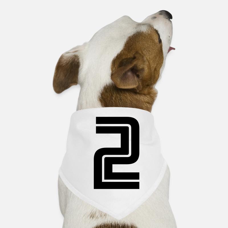 2 Bandana pour chien