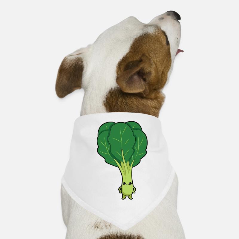 Les épinards Bandana pour chien