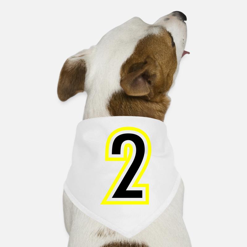 2 Number College Dog Bandana