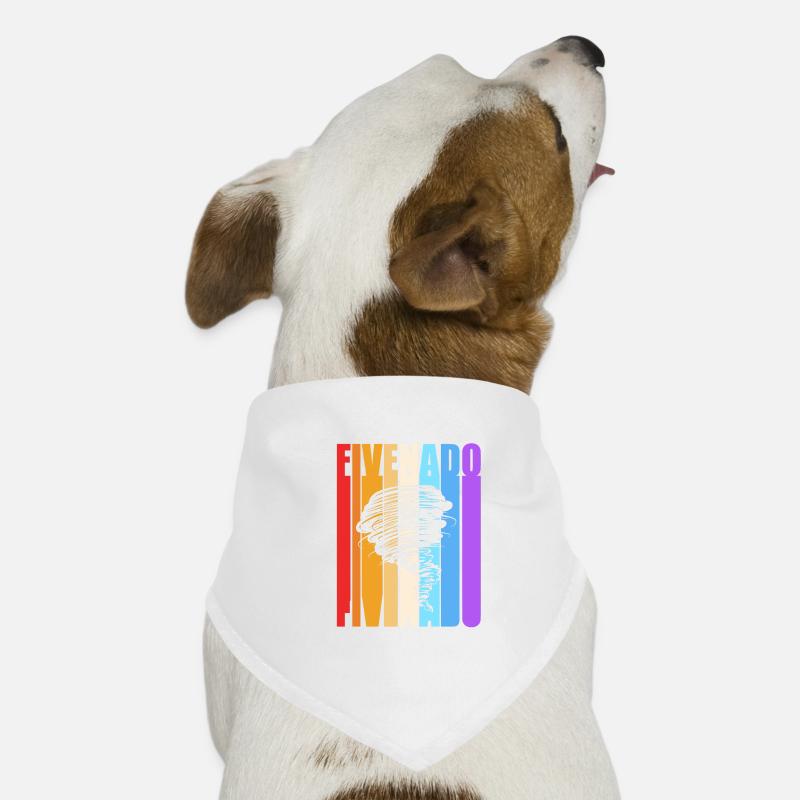Tornado Geburtstag Kindergeburtstag Hunde-Bandana