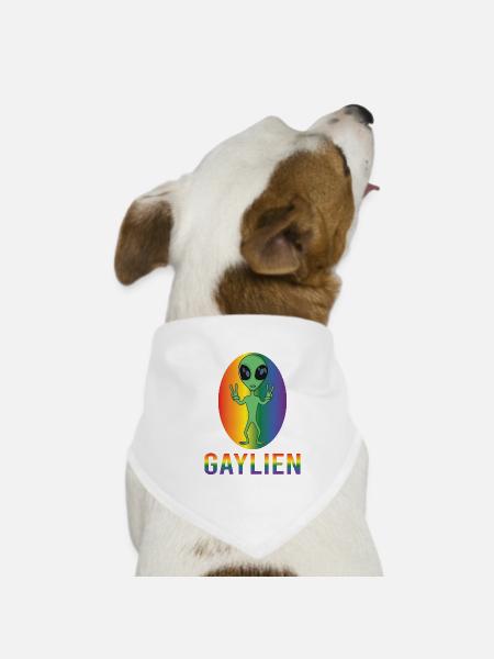 Gender Lesben, Schwule, Trans, Queer Regenbogen - Hunde-Bandana - Weiß - Vorne