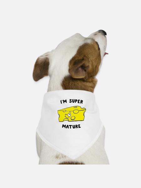 I'm Super Mature Cheese - Dog Bandana - white