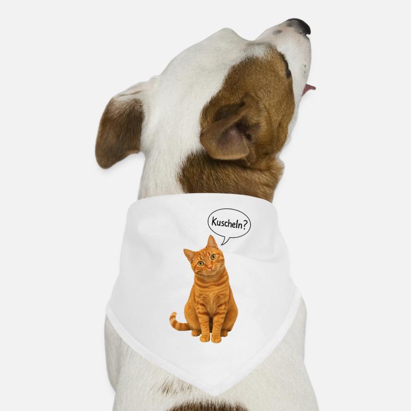 Red cat with tilted head asks: "Cuddle?" Dog Bandana