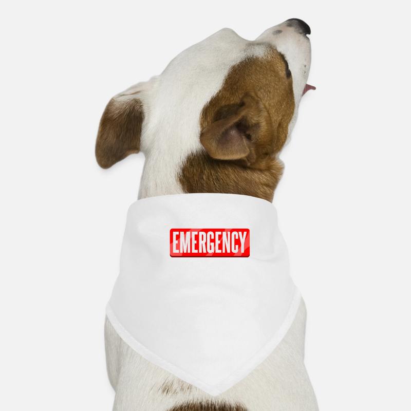 urgence Bandana pour chien