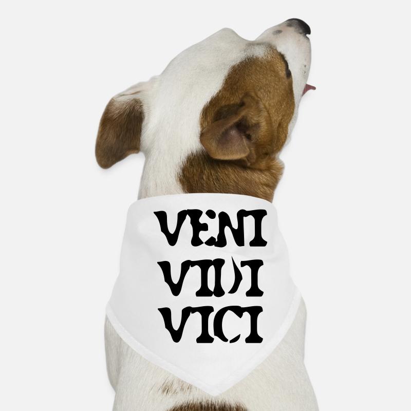 Veni Vidi Vici ! Bandana pour chien