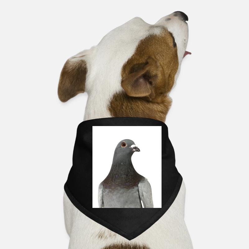 Dove. Pigeon Dog Bandana