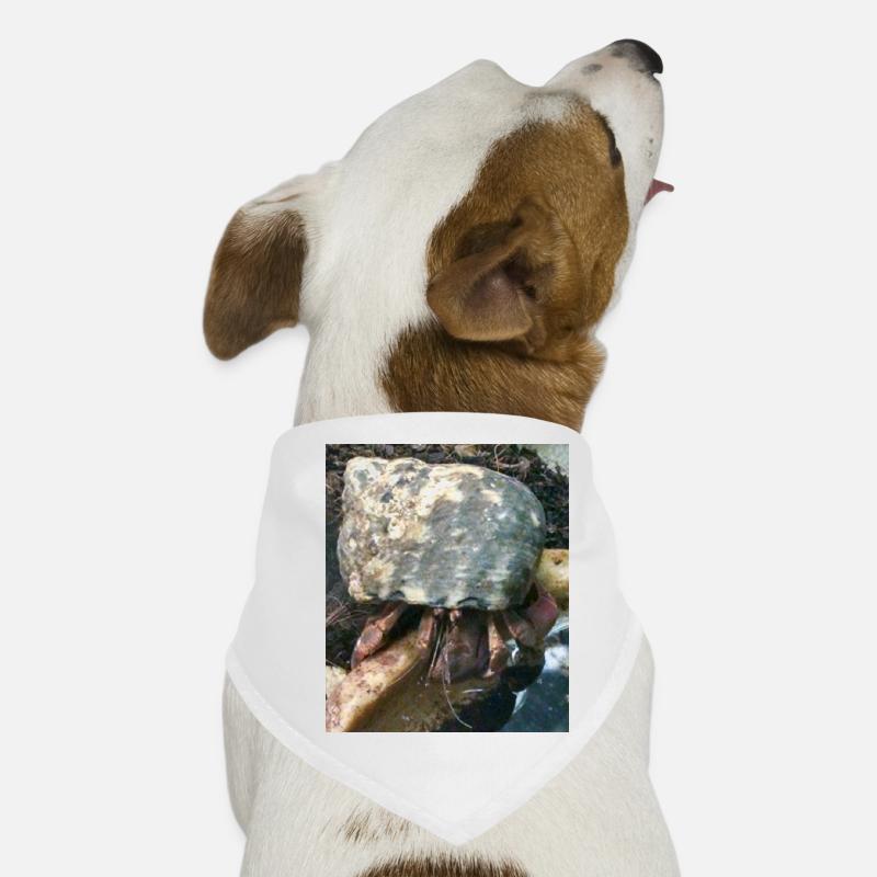 Hermit crab Dog Bandana