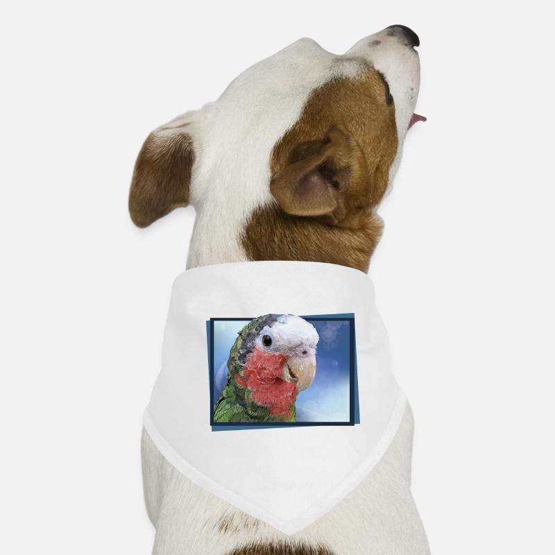 The Cuban Amazon Dog Bandana