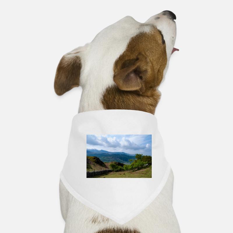 Cader Idris from New Precipice Walk Dog Bandana