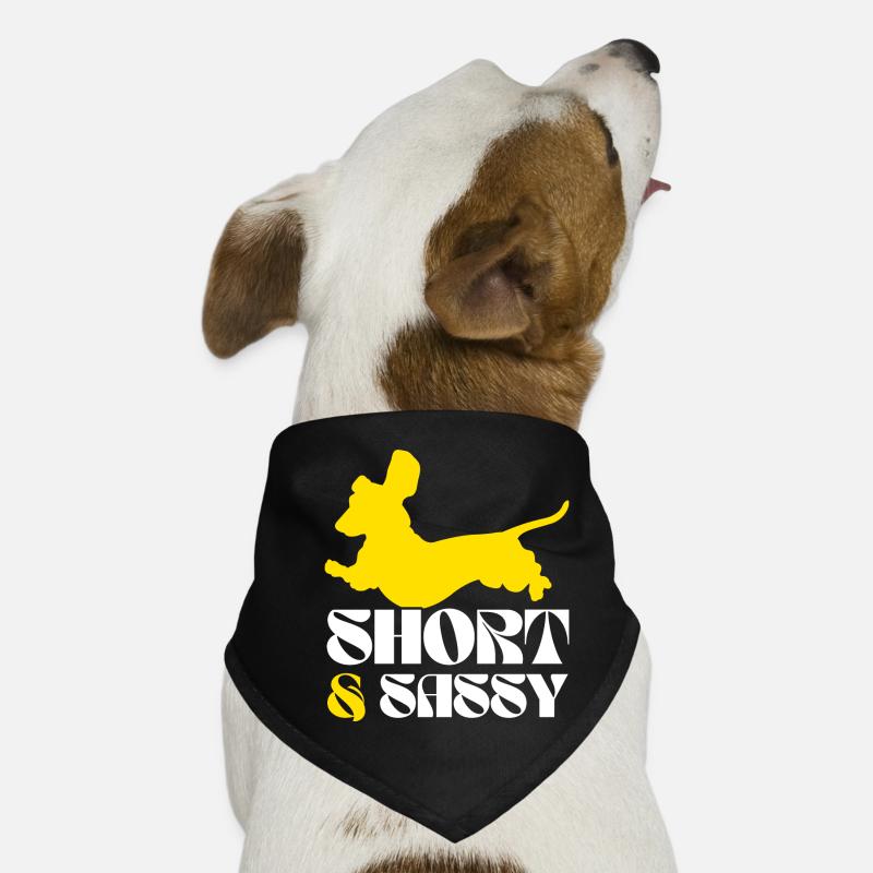 Teckel Chien Teckel Race de chien Teckel Bandana pour chien