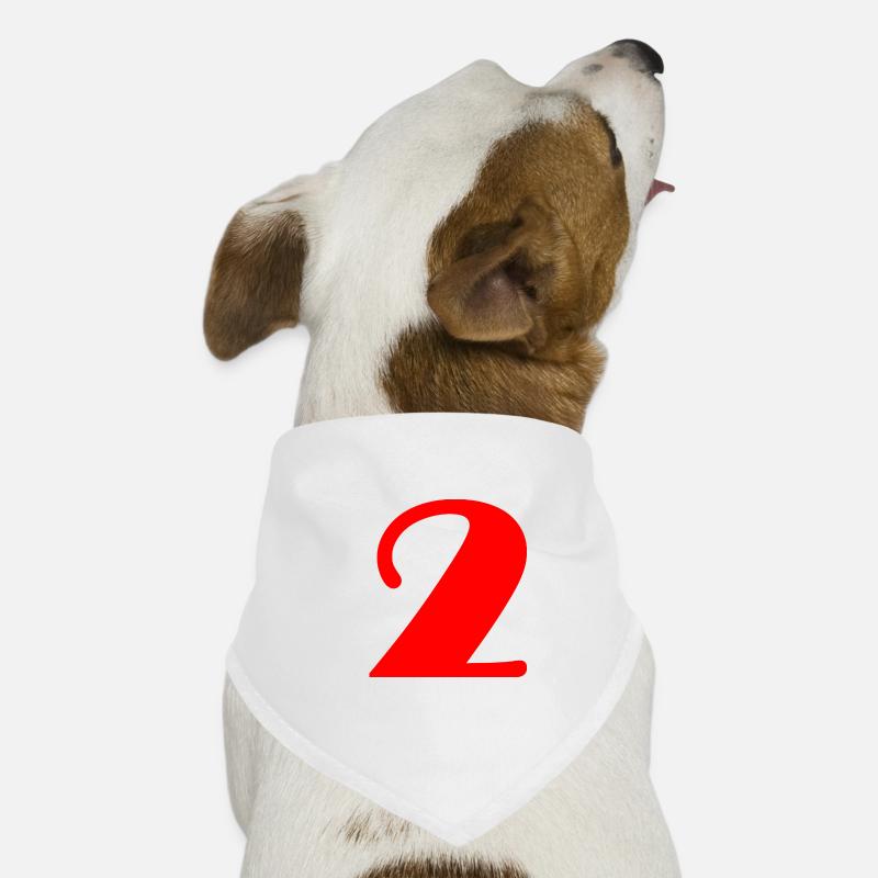 2. 2 JAHRE. 2. JUBILÄUM. GEBURTSTAG 2 JAHRE Hunde-Bandana