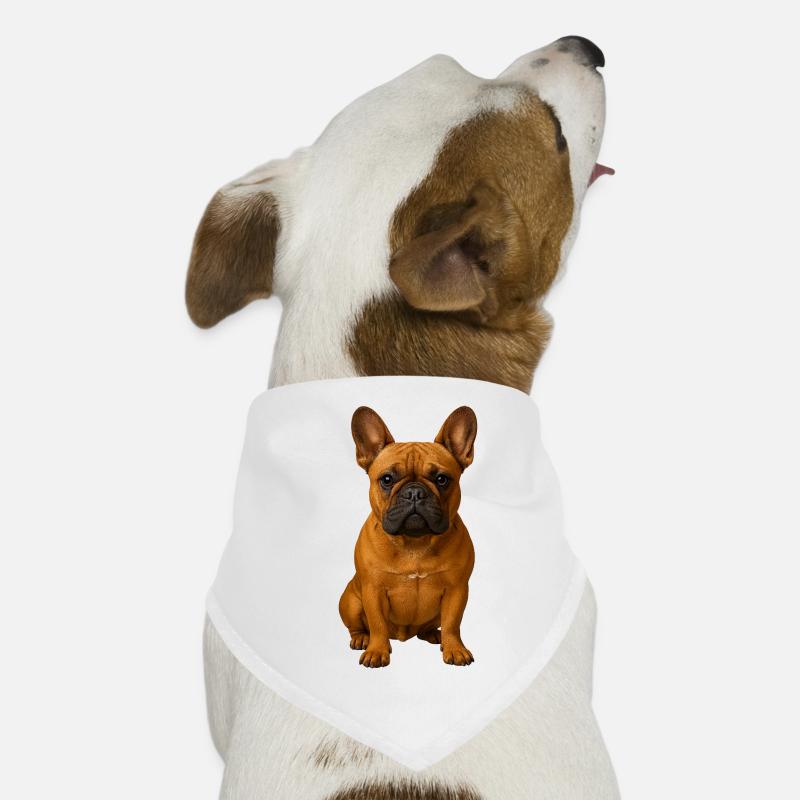 Frenchie Portrait Kraftvolle Pose Hunde-Bandana