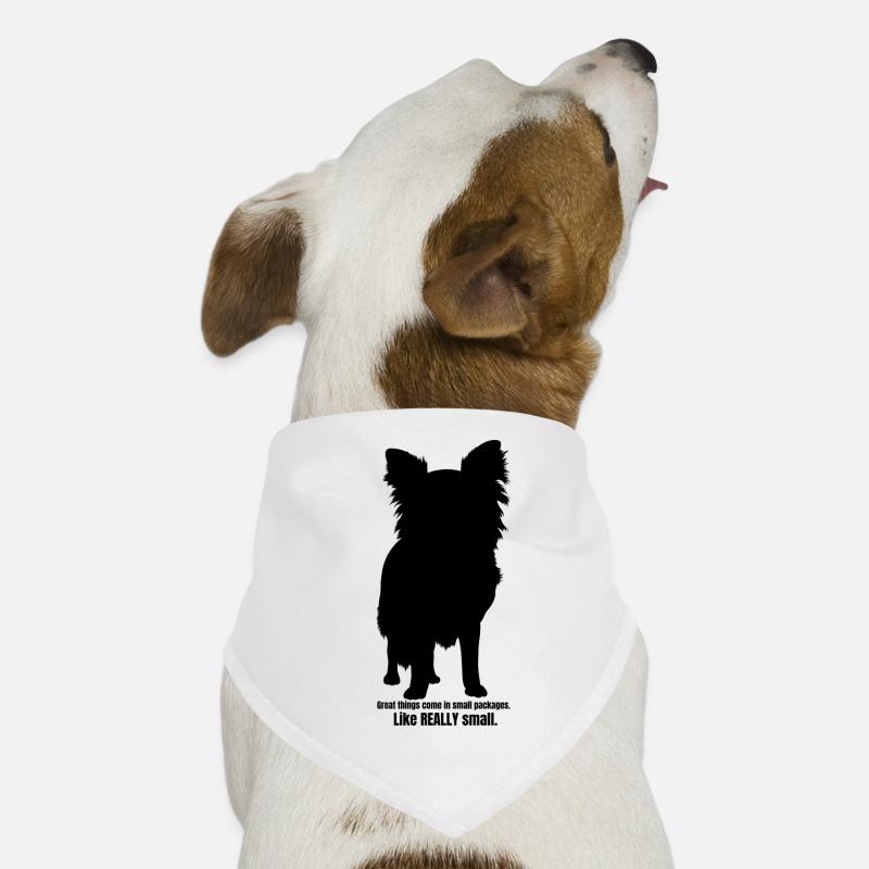 Great things come in small packages Hunde-Bandana