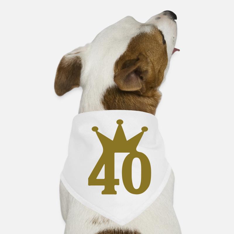 40 krone c1w7 Hunde-Bandana