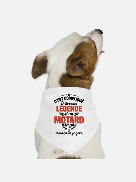 Legende et Motard, Humour Cadeau Motard - Bandana pour chien - blanc - Devant