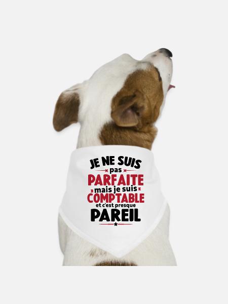 Pas parfaite mais je suis comptable humour cadeau - Bandana pour chien - blanc
