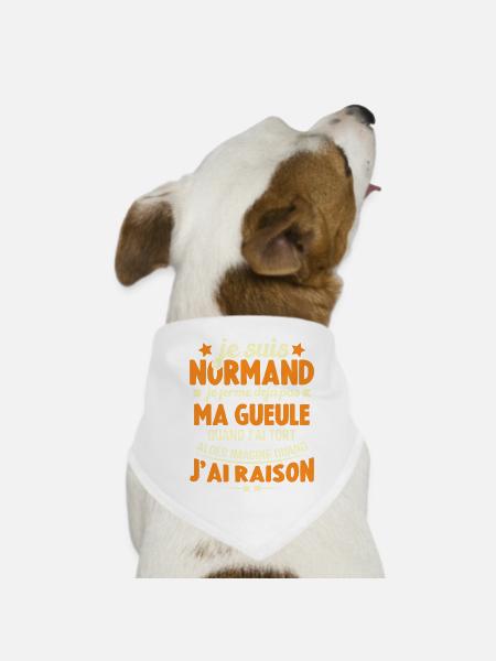 Je suis Normand je ferme déjà pas ma gueule humour - Bandana pour chien - blanc