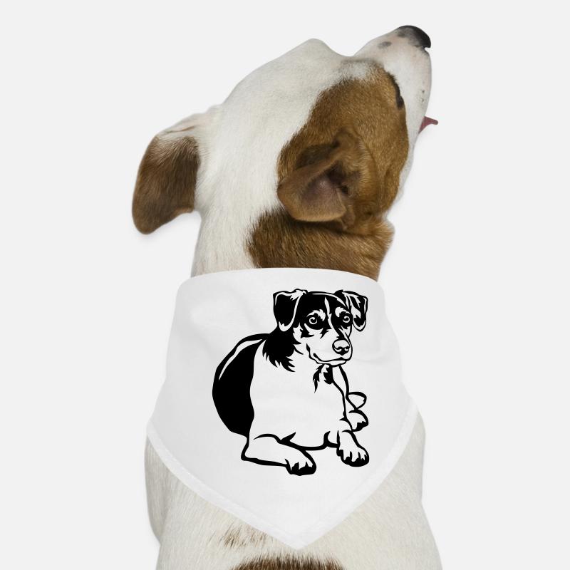 Dansk Svensk Gaardhond Hunde-Bandana