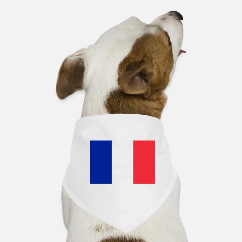 France drapeau tricolore Paris Nice Lyon Bandana pour chien