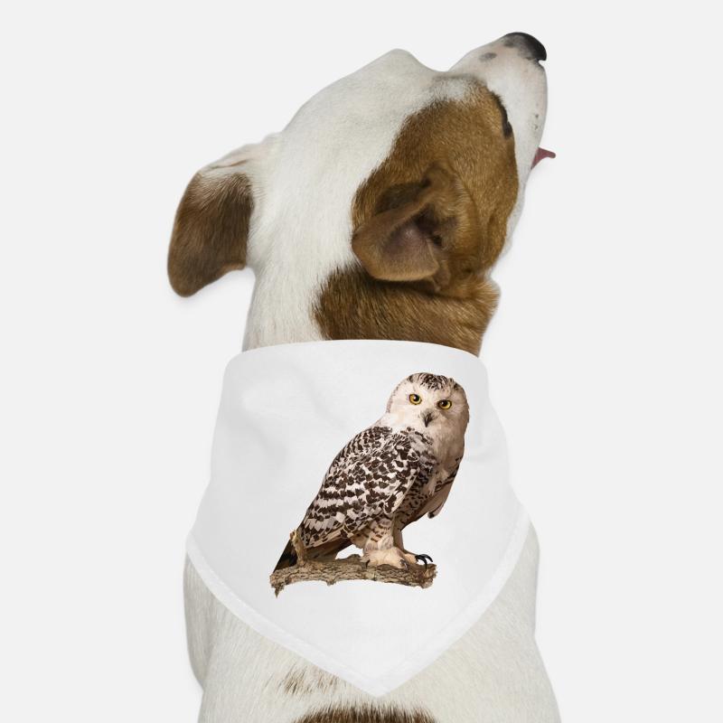 Schnee-Eule - Hunde-Bandana - Weiß