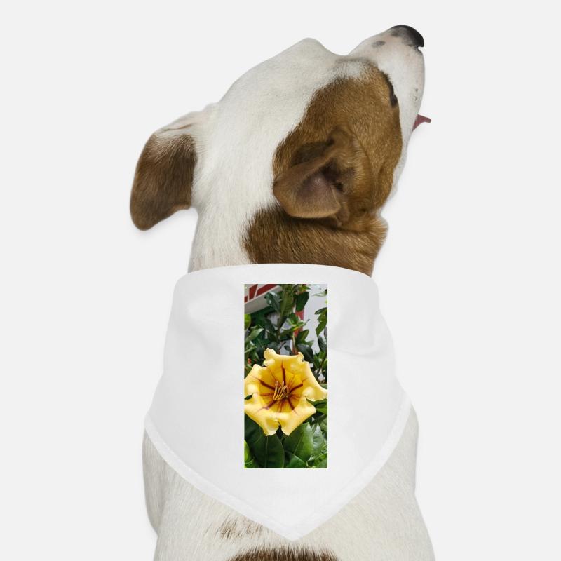 Belle fleur jaune Bandana pour chien