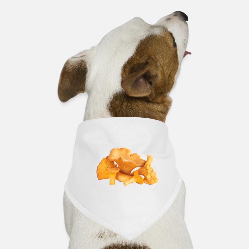 Champignons Chanterelle Bandana pour chien
