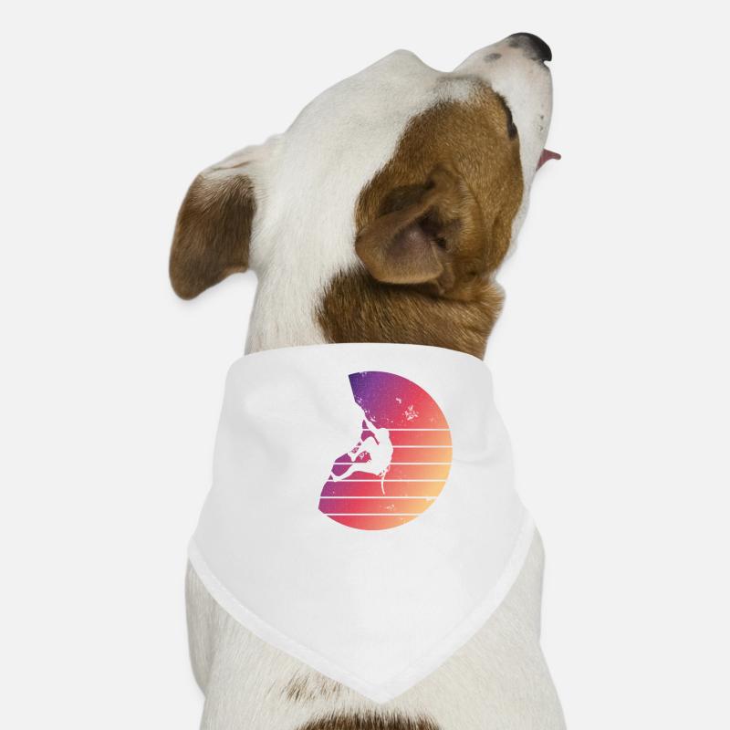 Vintage Kletterer Klettern Bouldern Geschenk Hunde-Bandana