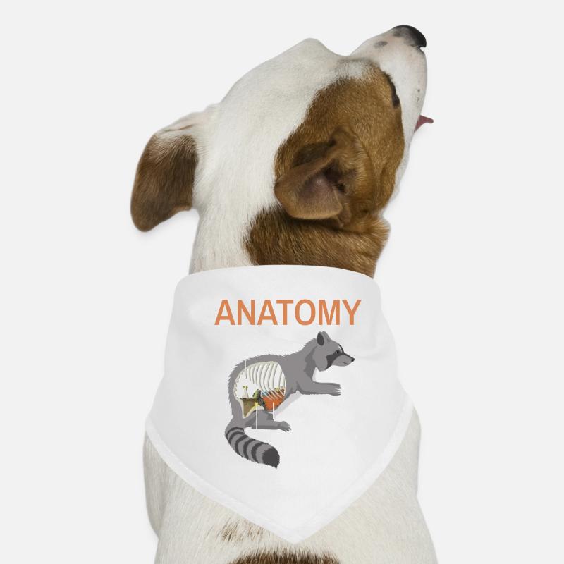 Instructions anatomie raton laveur Bandana pour chien