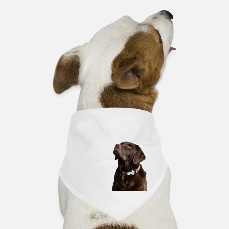 Die Gesetze eines Labradors Hunde-Bandana