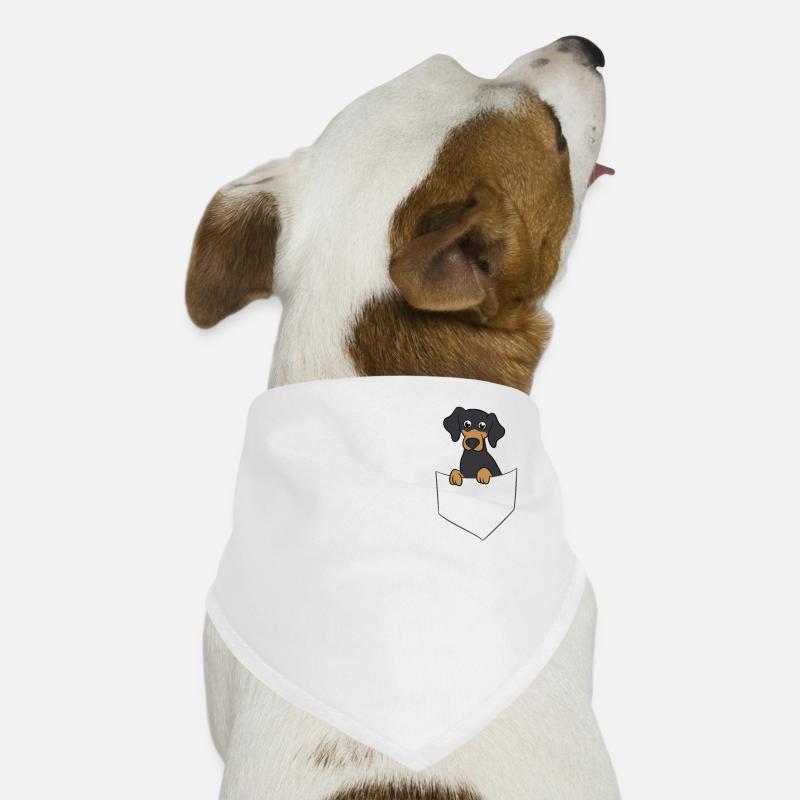 Cute Dachshund In Pocket Dog Bandana