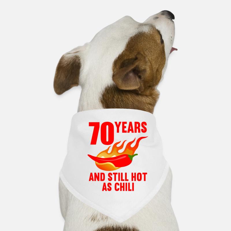 70 ans chaud comme chili 70e anniversaire Bandana pour chien