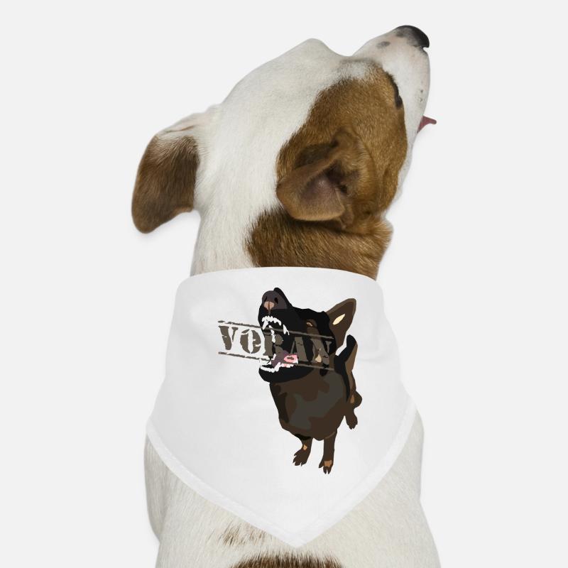 Berger allemand IGP devant Bandana pour chien