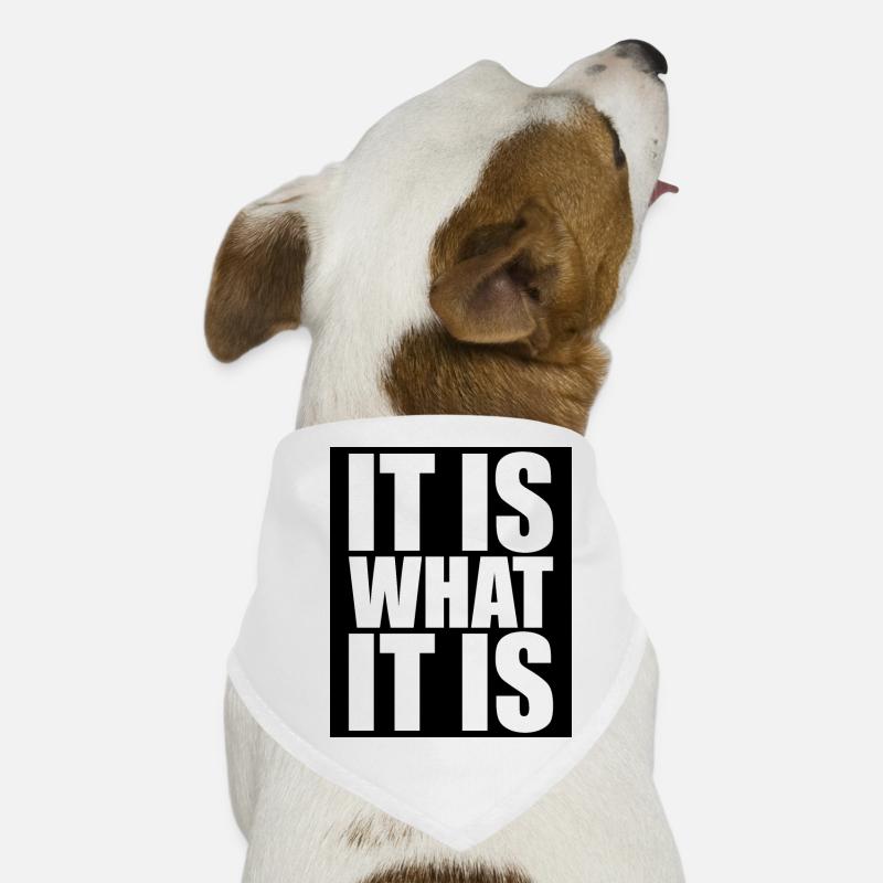 It Is What It Is - Hunde-Bandana - Weiß