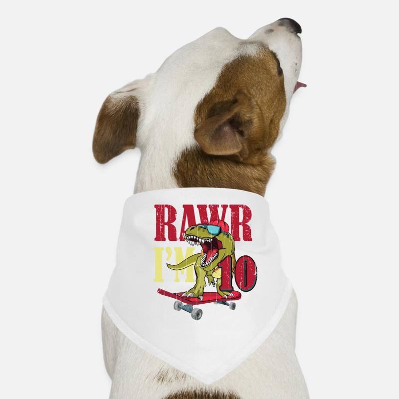 Naissance Né 10 ans Dinosaure Skateboard Bandana pour chien