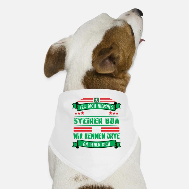 Steirer Bua Styrie Drapeau styrien Bandana pour chien