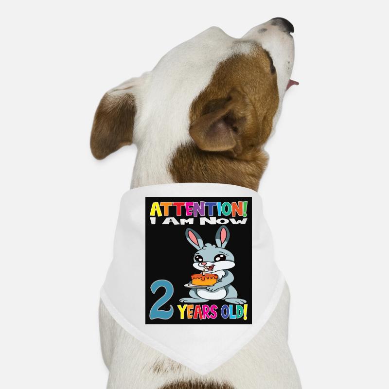 Rabbit Attention I Am Now 2 Years Old Dog Bandana