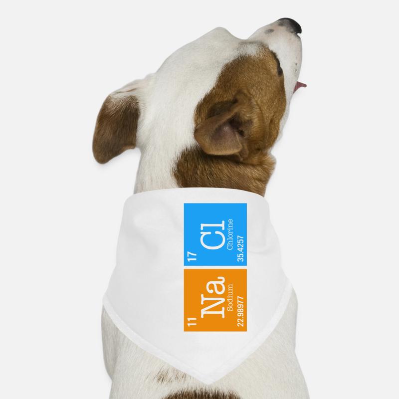 Chemisches Element Na Cl Shirt, sei nicht so salzig Hunde-Bandana