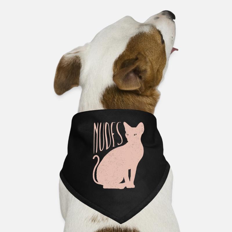 Chaton chat Sphynx nu Bandana pour chien