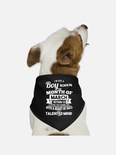 March - Dog Bandana - black - Front