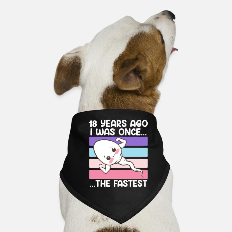Il y a 18 ans, j’étais le plus rapide Bandana pour chien