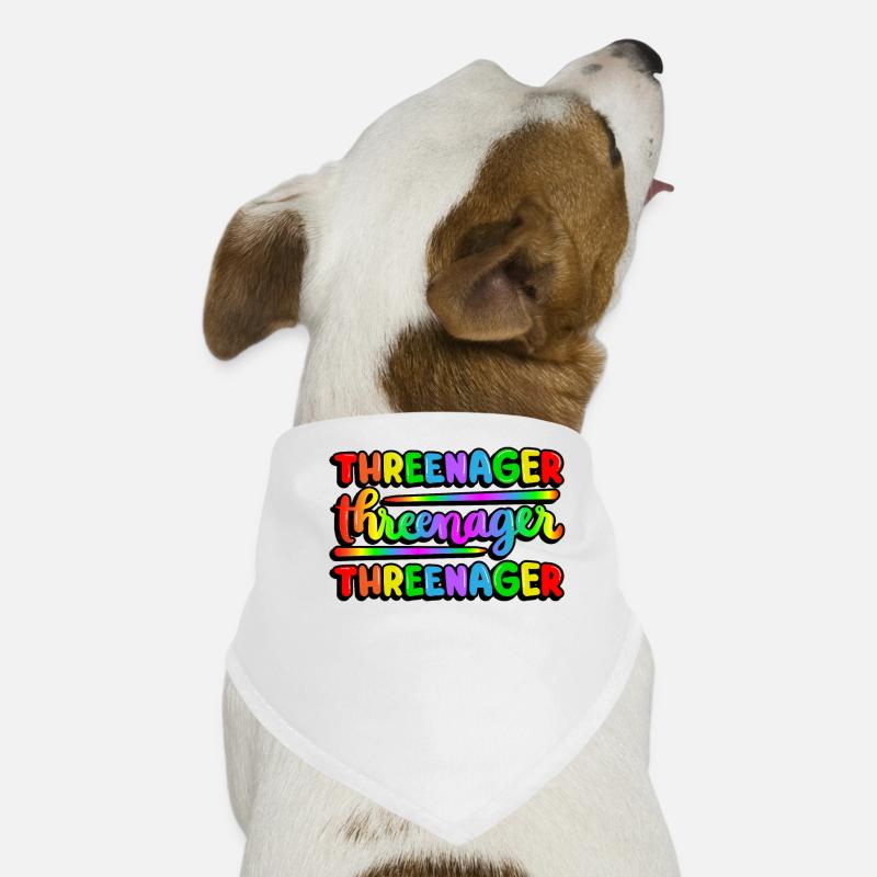 Threenager Kid 3rd Birthday Rainbow Spectrum Dog Bandana
