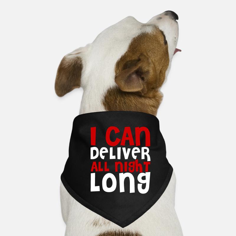 I Can Deliver All Night Long Dog Bandana