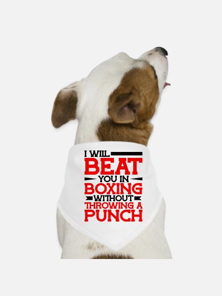 Will Beat You In Boxing Without Throwing A Punch - Dog Bandana - white - Front