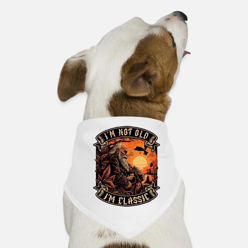 I m not old I m classic motorcycle biker Dog Bandana