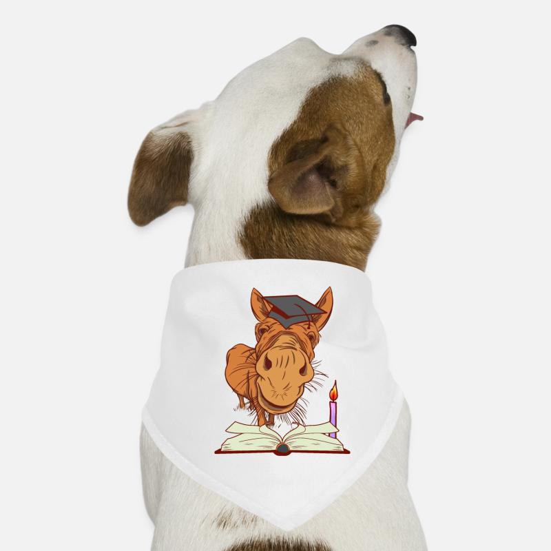 Donkey mule student nocturnal learning studies Dog Bandana