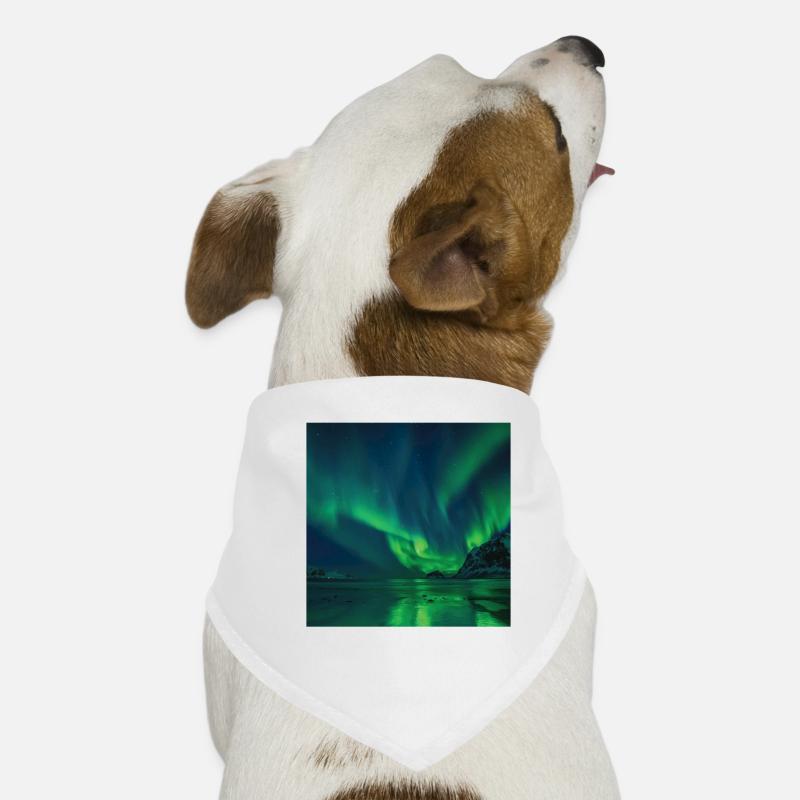 Aurora Borealis Aurora Borealis nordlys Hunde-bandana