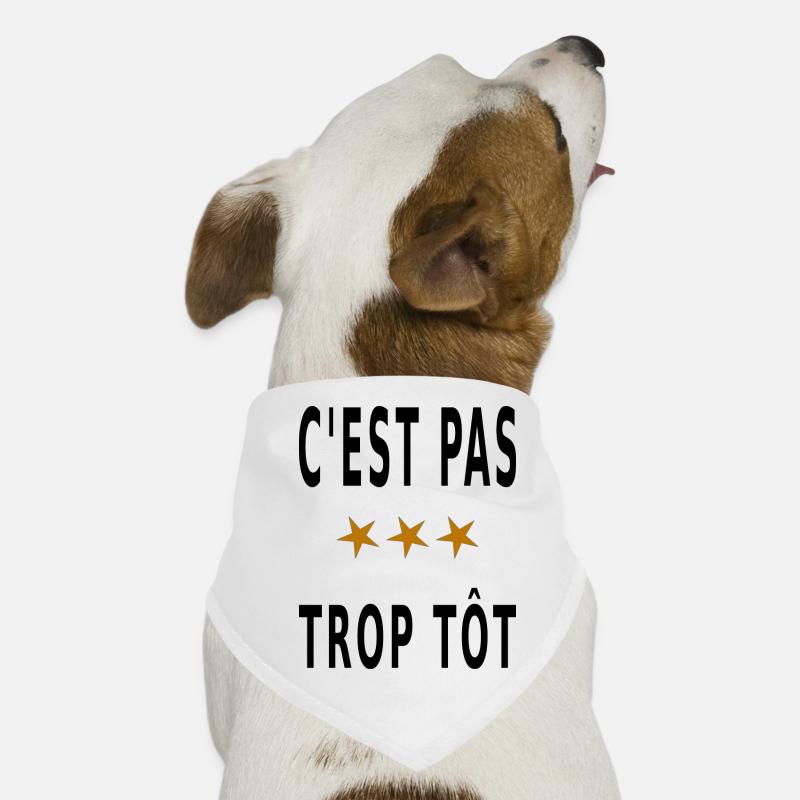 C'est pas trop tôt Bandana pour chien