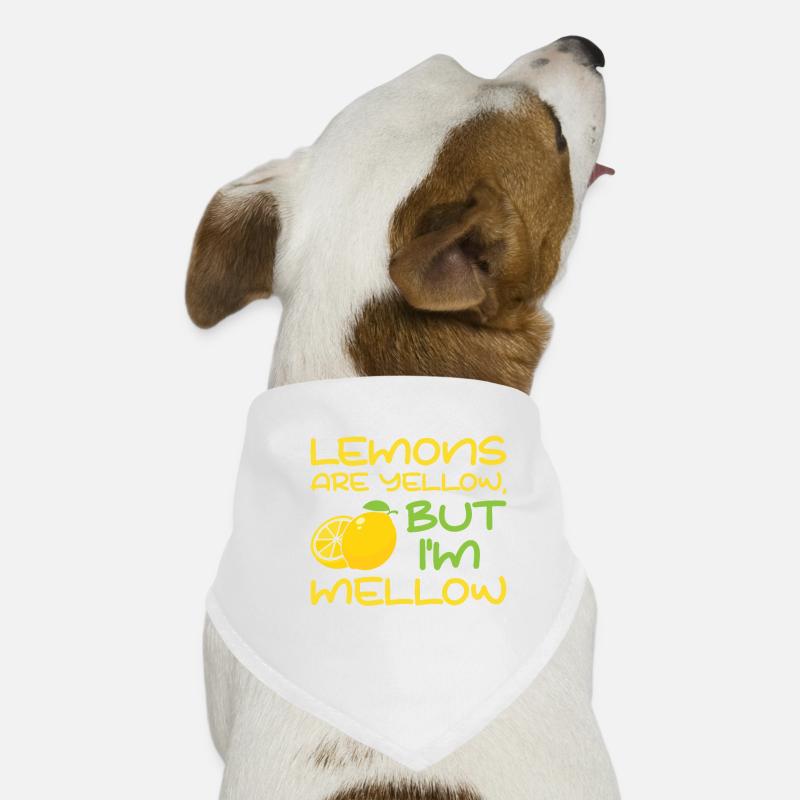 Limonade citron agrumes Bandana pour chien