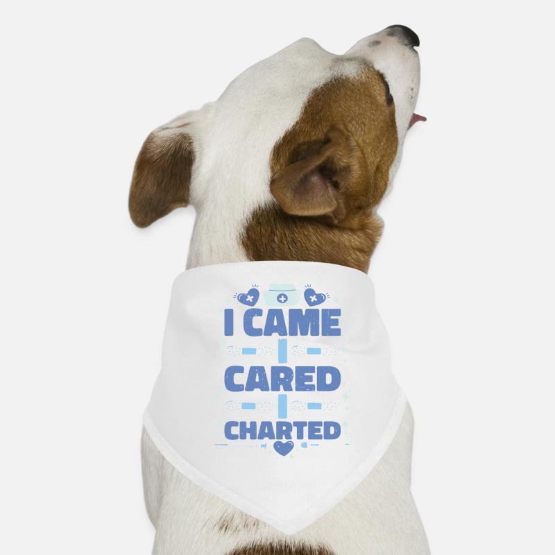 I Came I Cared I Charted 2 Dog Bandana
